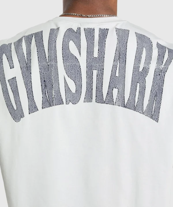 Gymshark T-shirts & Tops*Bodybuilding Graphic Short Sleeve T-Shirt MetalGrey