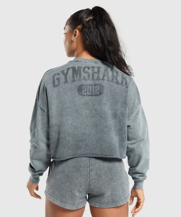 Gymshark Hoodies & Sweatshirts*Collegiate Shadow Washed Midi Sweatshirt AsphaltGrey