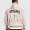 Gymshark Hoodies & Sweatshirts*Committed to the Craft Hoodie MutedPink