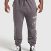 Gymshark Joggers & Sweatpants*Distressed Graphic Joggers BrushedPurpleAcidWash