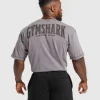 Gymshark T-shirts & Tops*Heritage Washed T-Shirt FogPurple