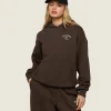 Gymshark Sweatsuits | Hoodies & Sweatshirts*Phys Ed Graphic Hoodie ArchiveBrown