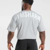 Gymshark T-shirts & Tops*Power T-Shirt LightGreyCoreMarl