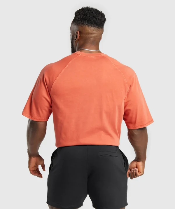 Gymshark T-shirts & Tops*Premium Legacy T-Shirt MutedOrange