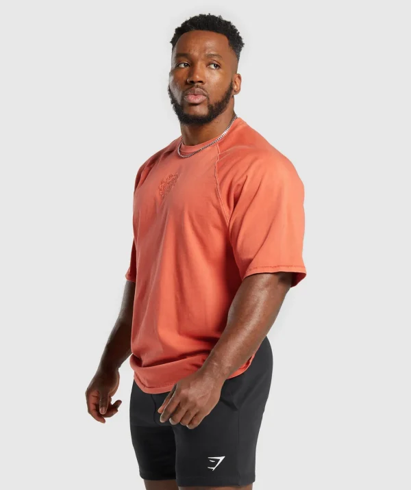 Gymshark T-shirts & Tops*Premium Legacy T-Shirt MutedOrange