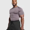 Gymshark T-shirts & Tops*Tectonic Seamless T Shirt BrushedPurple/GreyedPurple